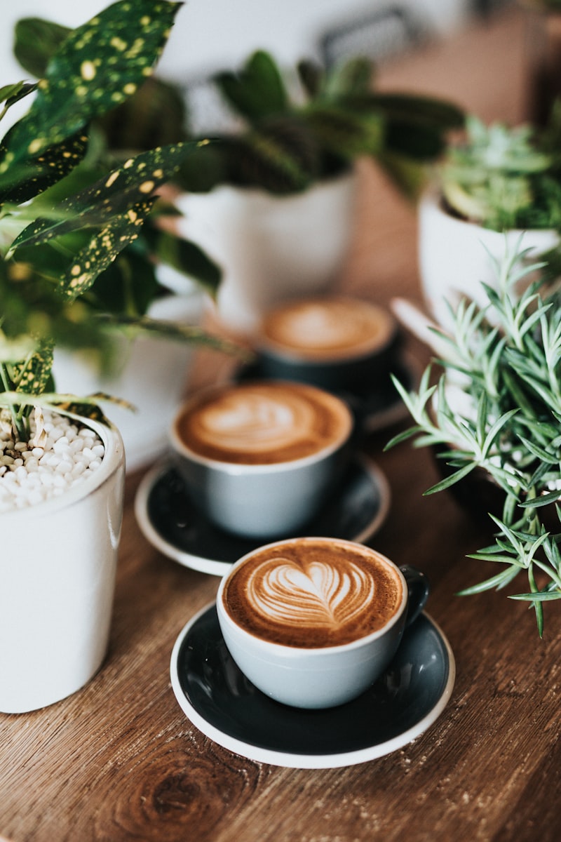 Coffee Drinks